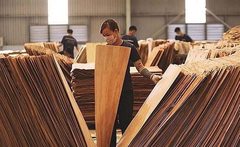 Doanh nghiệp ngành gỗ cần trang bị “phao cứu sinh” trước Doanh nghiệp ngành gỗ cần trang bị “phao cứu sinh” trước
